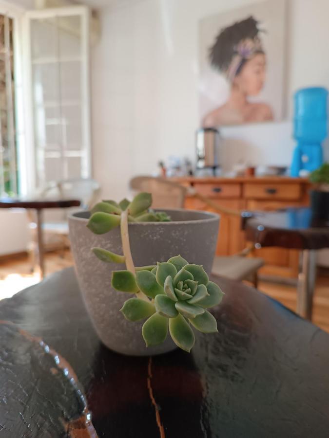 Casona Lorena Santiago de Chile Zewnętrze zdjęcie