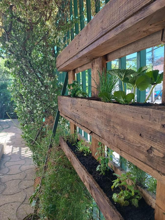 Casona Lorena Santiago de Chile Zewnętrze zdjęcie